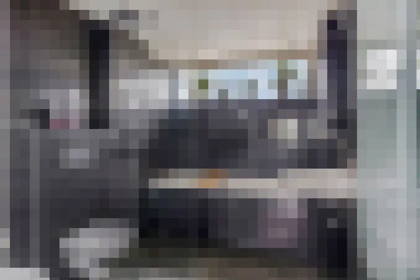 de Praam 124 Tiel thumbnail 4