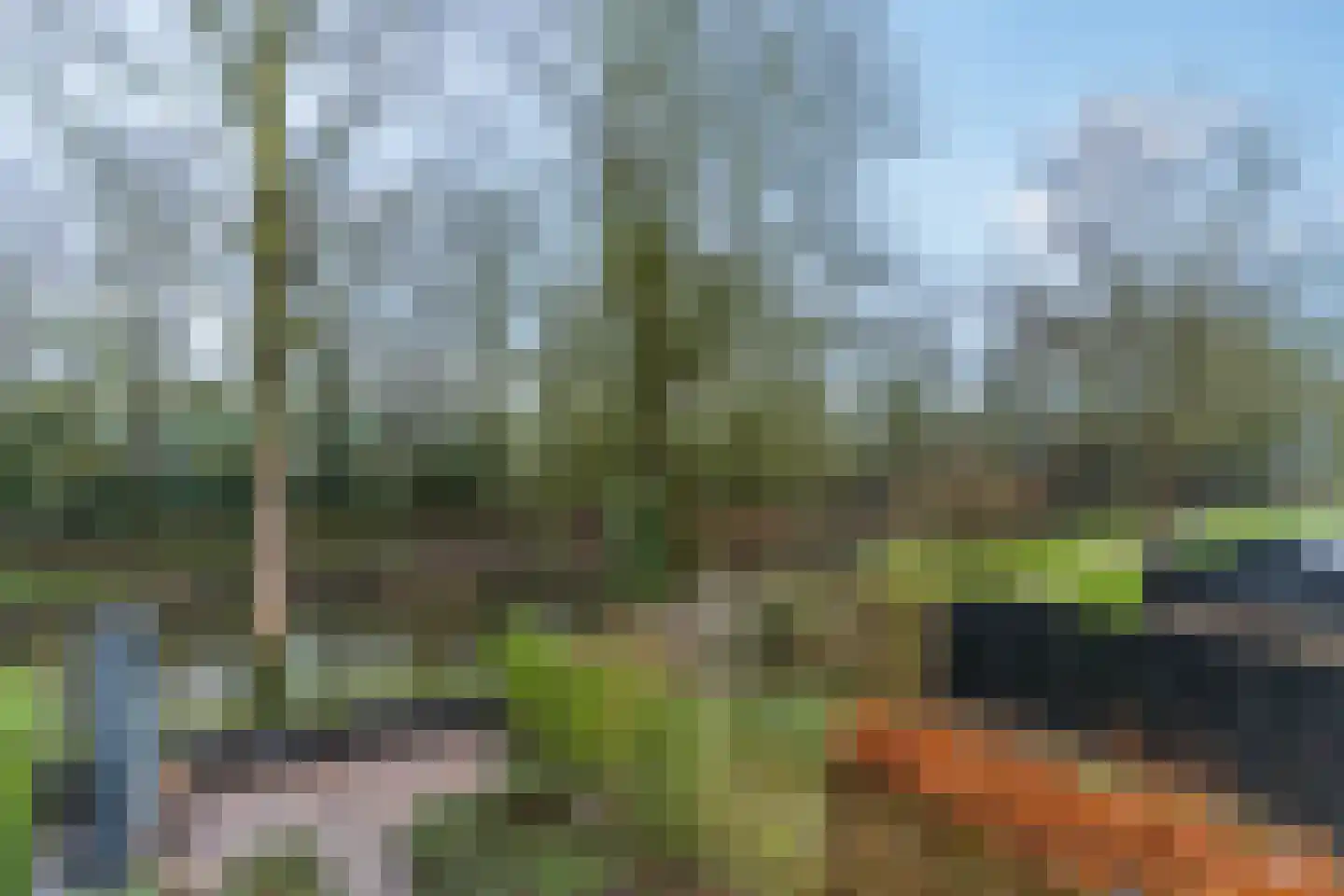de Praam 124 Tiel thumbnail 41