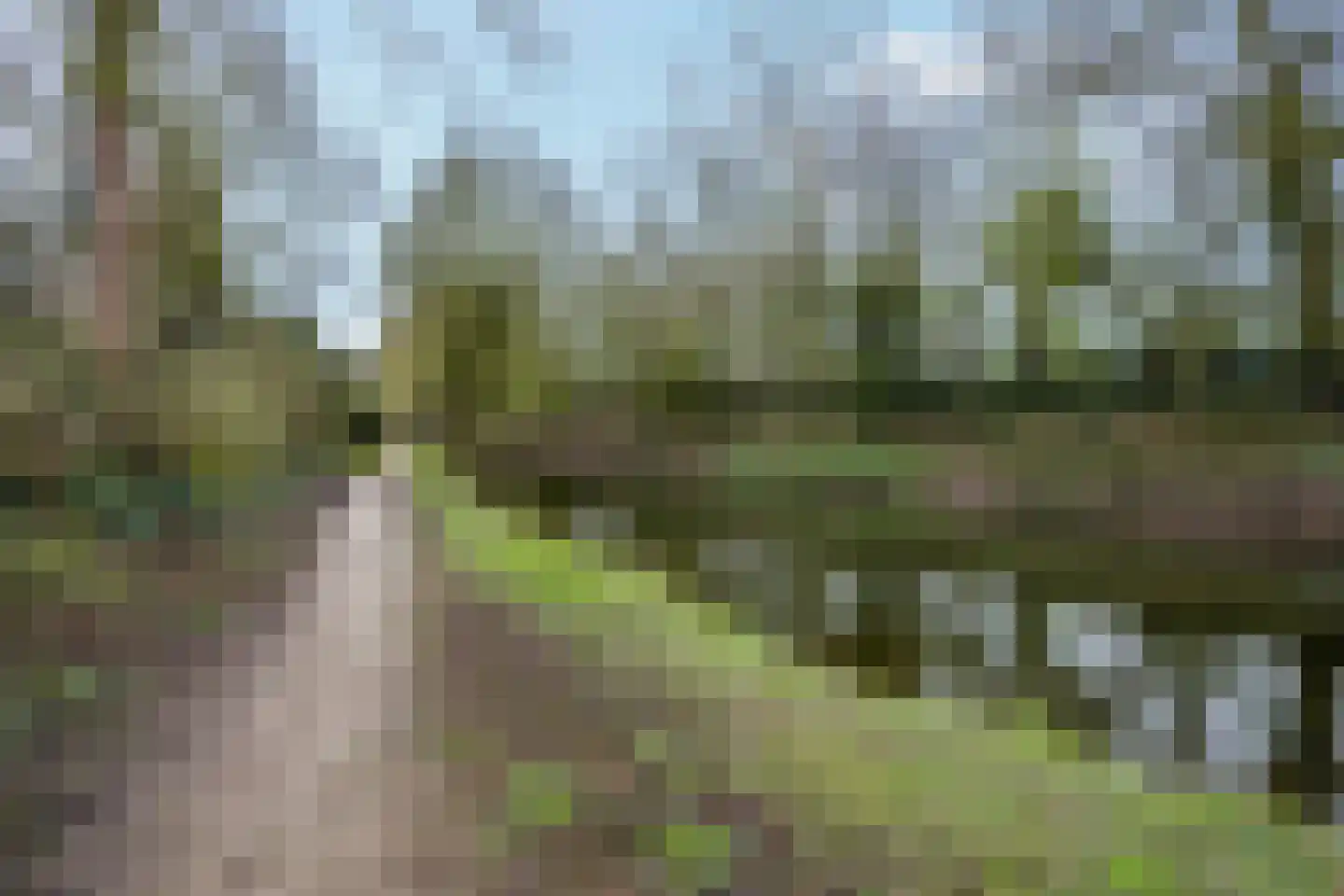 de Praam 124 Tiel thumbnail 47