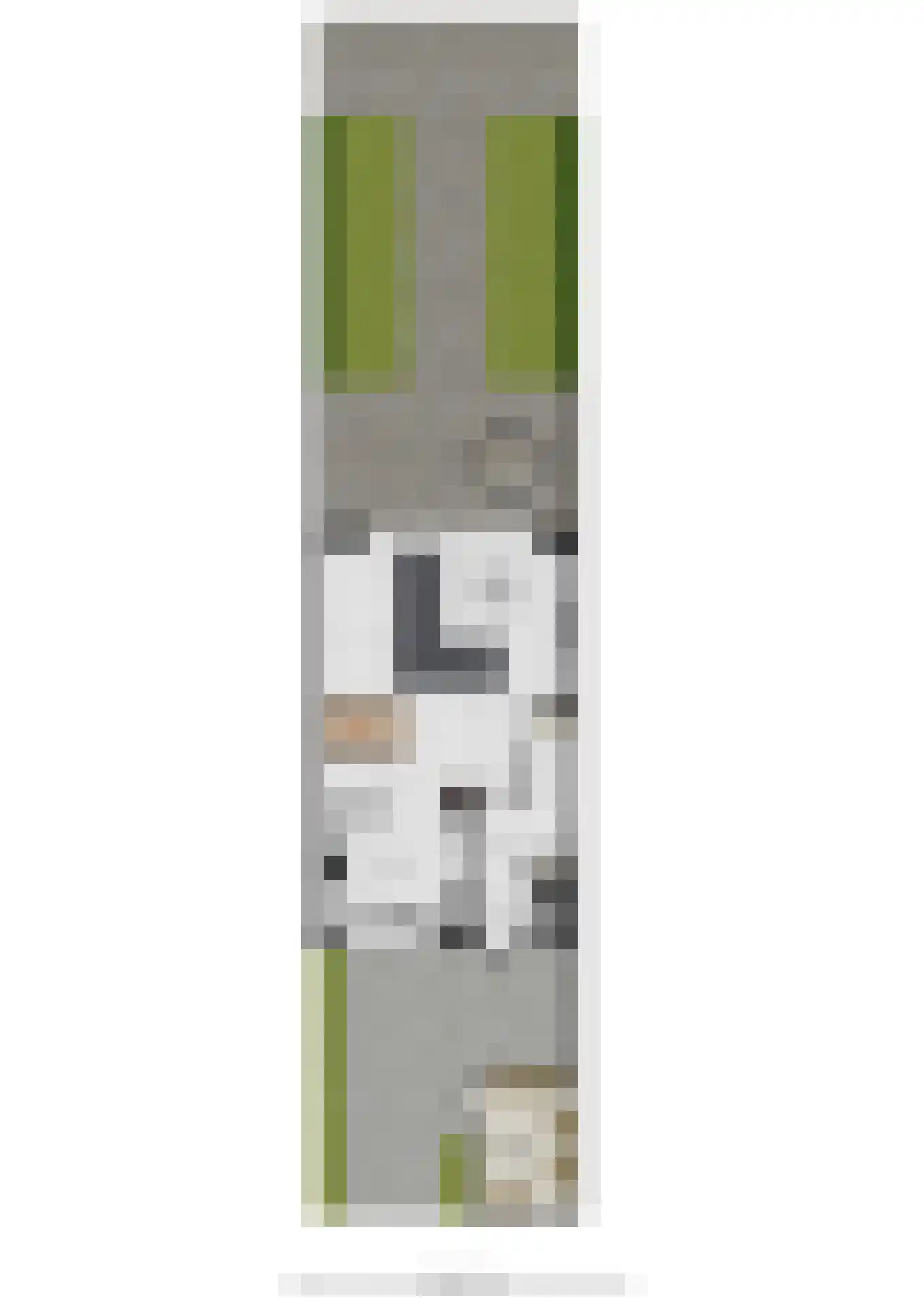 de Praam 124 Tiel thumbnail 53