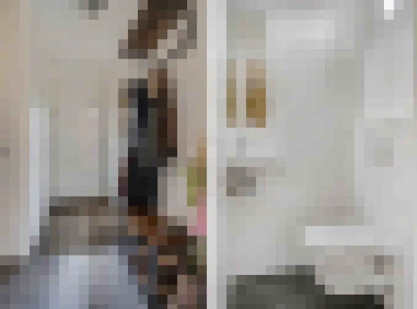 de Praam 124 Tiel thumbnail 8