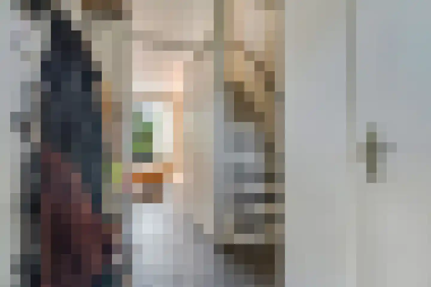 de Praam 124 Tiel thumbnail 9