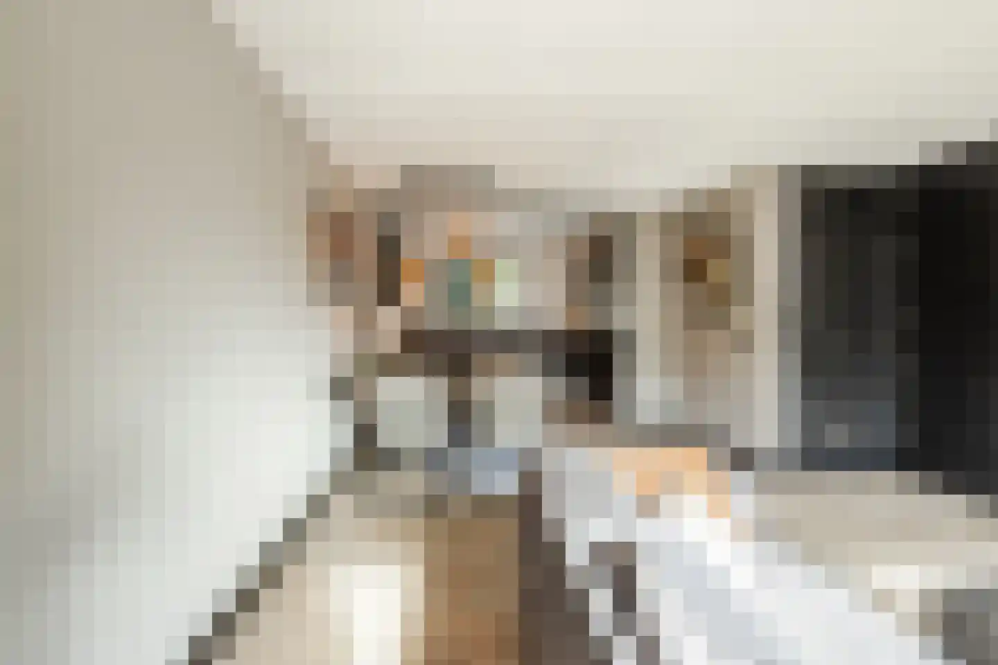 De Praam 18 Hoogeveen thumbnail 11