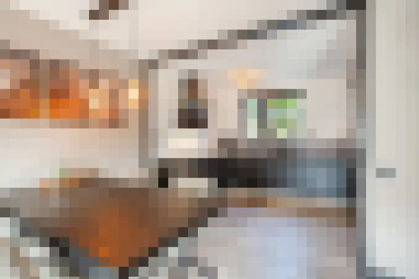 De Praam 18 Hoogeveen thumbnail 12
