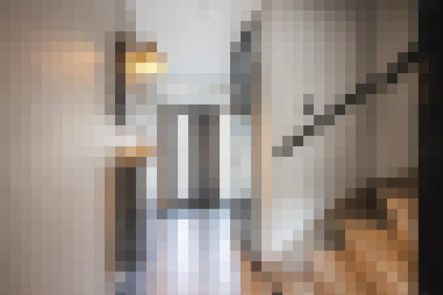 De Praam 18 Hoogeveen thumbnail 5