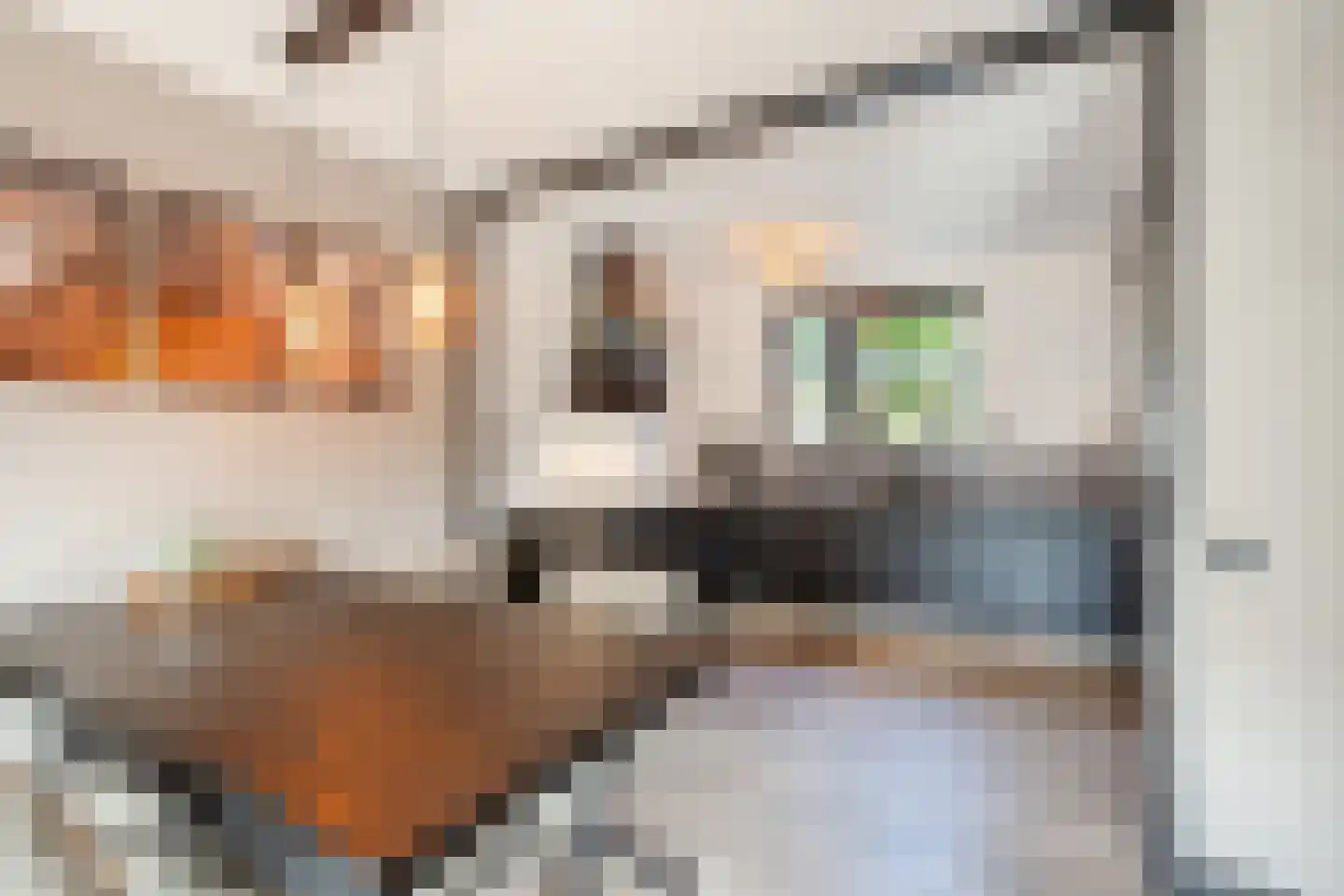 De Praam 18 Hoogeveen thumbnail 6