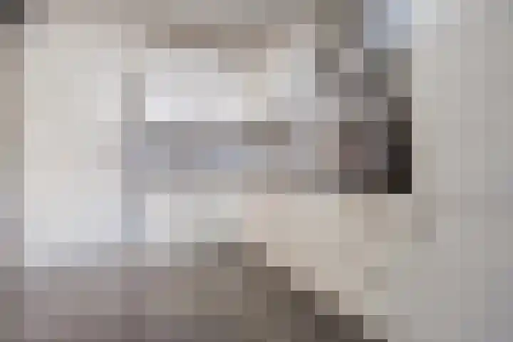 De Praam 62 Dedemsvaart thumbnail 13