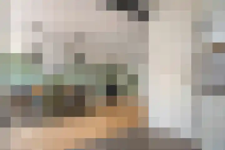 De Praam 62 Dedemsvaart thumbnail 14
