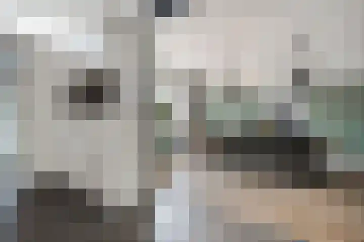 De Praam 62 Dedemsvaart thumbnail 15