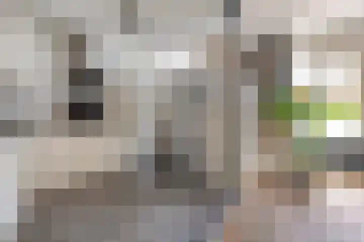De Praam 62 Dedemsvaart thumbnail 17