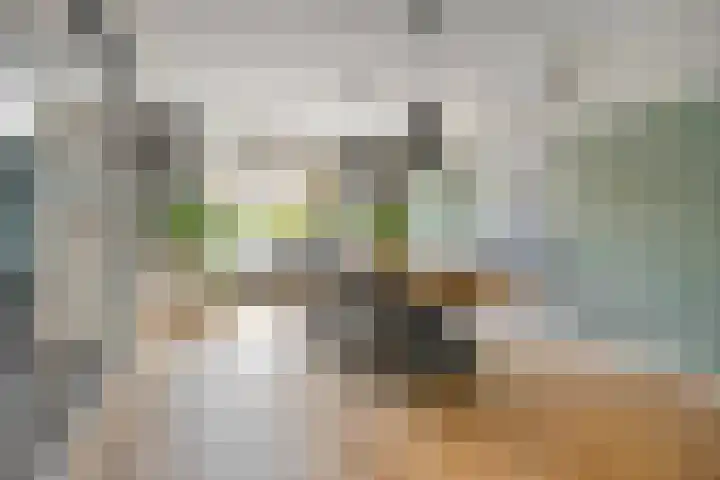 De Praam 62 Dedemsvaart thumbnail 19