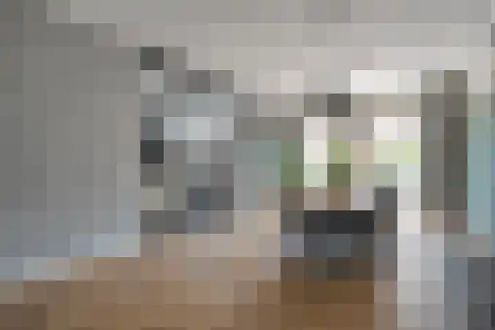 De Praam 62 Dedemsvaart thumbnail 20