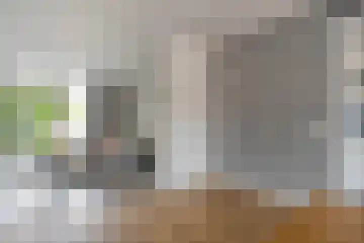 De Praam 62 Dedemsvaart thumbnail 21