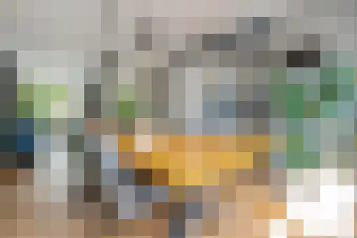 De Praam 62 Dedemsvaart thumbnail 22