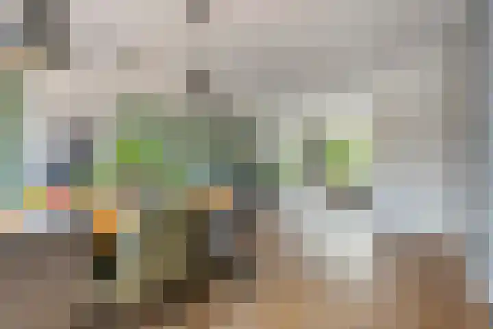 De Praam 62 Dedemsvaart thumbnail 23