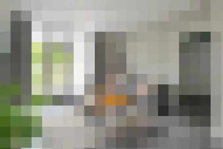 De Praam 62 Dedemsvaart thumbnail 25