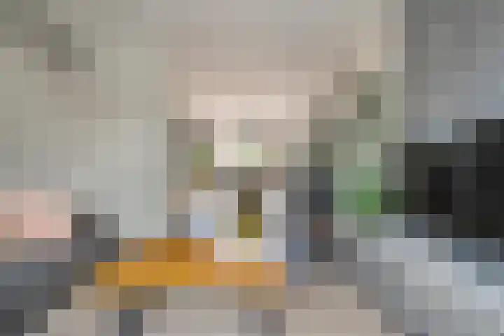 De Praam 62 Dedemsvaart thumbnail 26