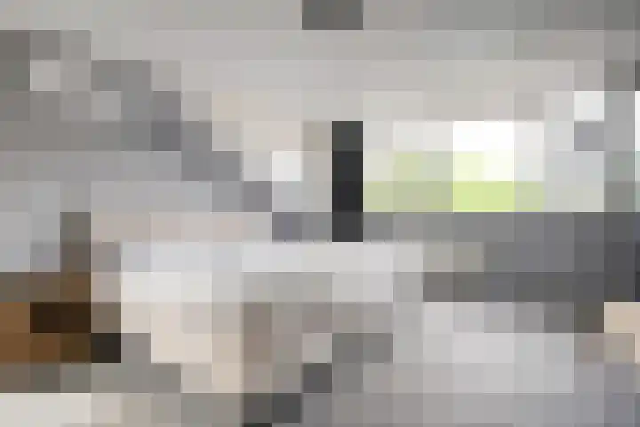 De Praam 62 Dedemsvaart thumbnail 31