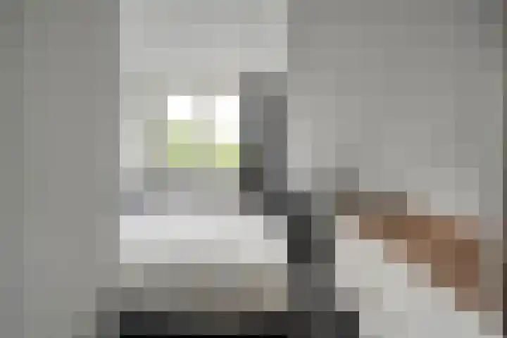 De Praam 62 Dedemsvaart thumbnail 33