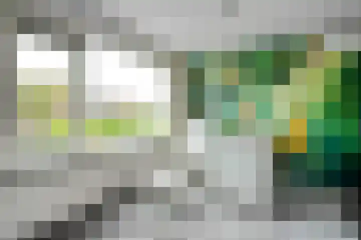 De Praam 62 Dedemsvaart thumbnail 35