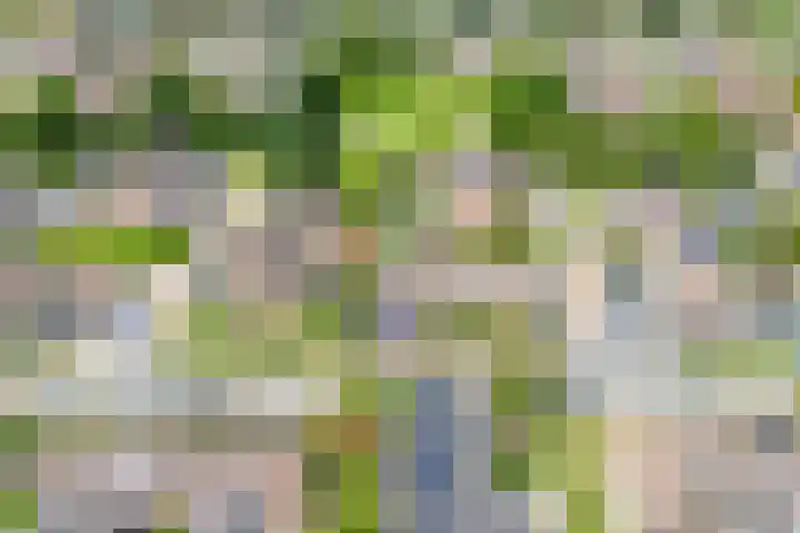 De Praam 62 Dedemsvaart thumbnail 4