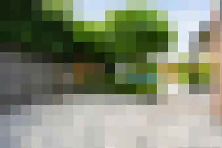 De Praam 62 Dedemsvaart thumbnail 40