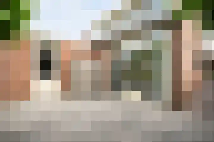De Praam 62 Dedemsvaart thumbnail 42