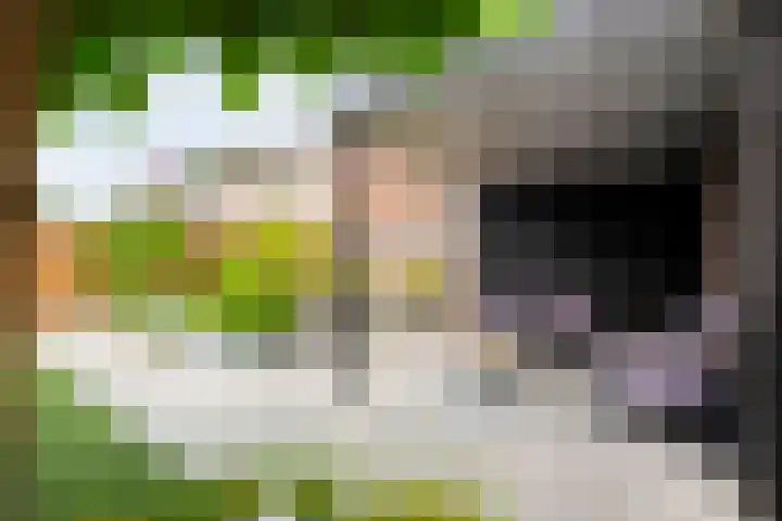 De Praam 62 Dedemsvaart thumbnail 43