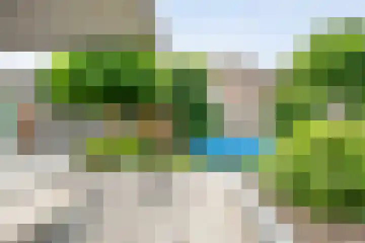 De Praam 62 Dedemsvaart thumbnail 45