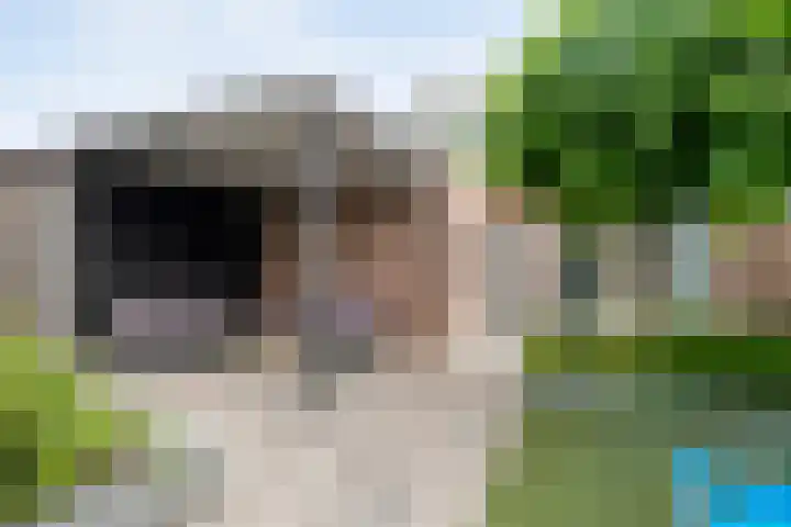 De Praam 62 Dedemsvaart thumbnail 49