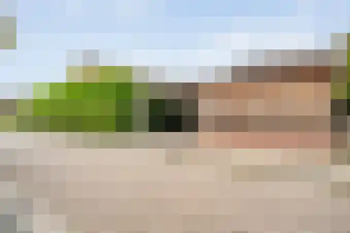 De Praam 62 Dedemsvaart thumbnail 5