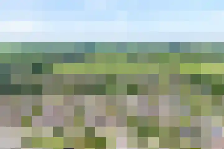 De Praam 62 Dedemsvaart thumbnail 50