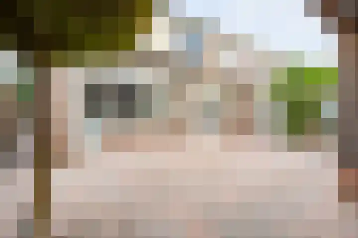 De Praam 62 Dedemsvaart thumbnail 6