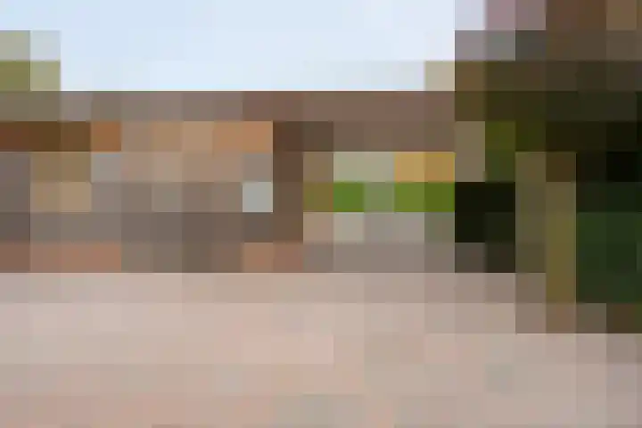 De Praam 62 Dedemsvaart thumbnail 8