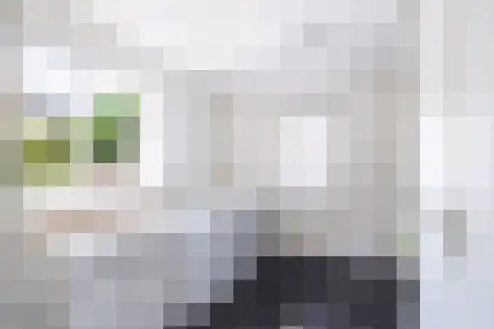 De Pream 13 Hallum thumbnail 11
