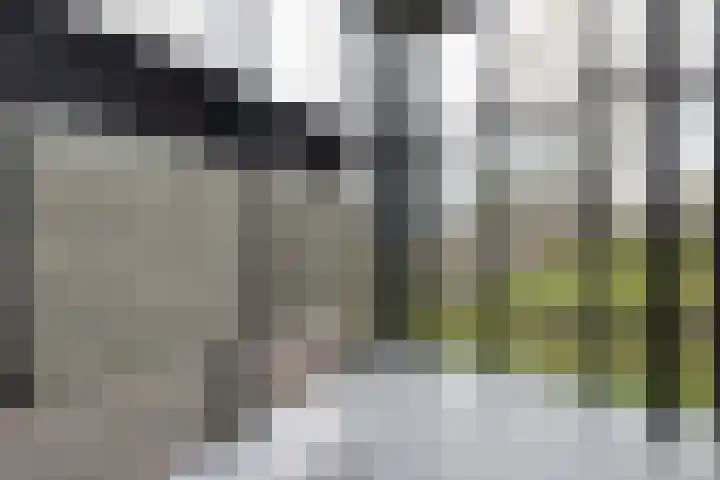 De Pream 13 Hallum thumbnail 12