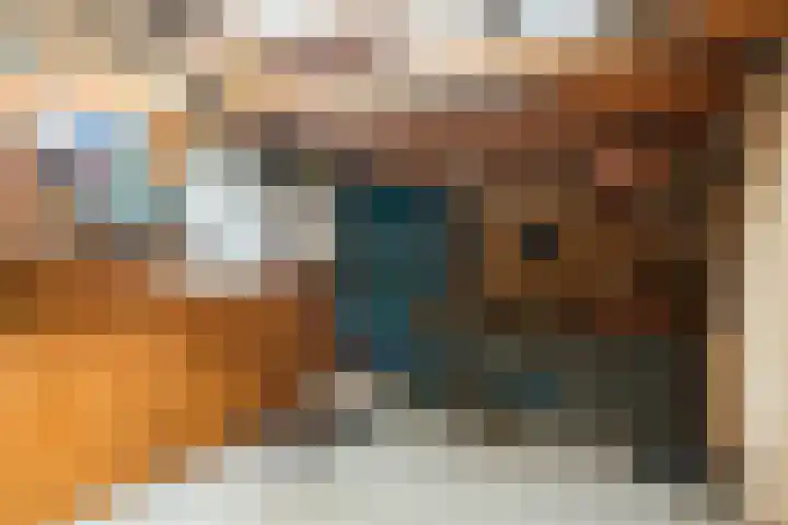 De Pream 13 Hallum thumbnail 14