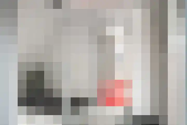 De Pream 13 Hallum thumbnail 17