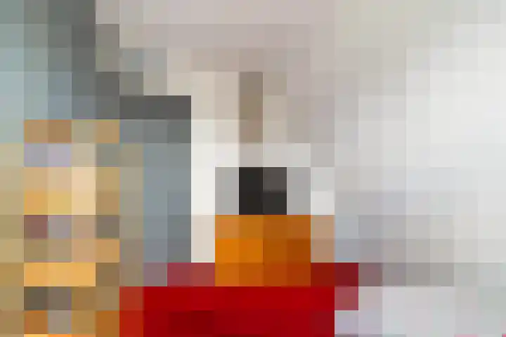 De Pream 13 Hallum thumbnail 23