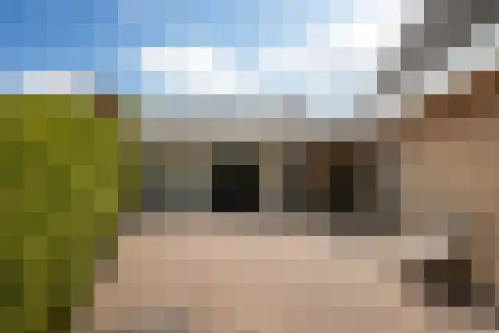 De Pream 13 Hallum thumbnail 29