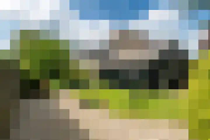 De Pream 13 Hallum thumbnail 31