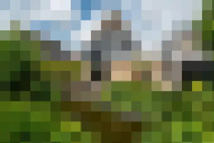 De Pream 13 Hallum thumbnail 36