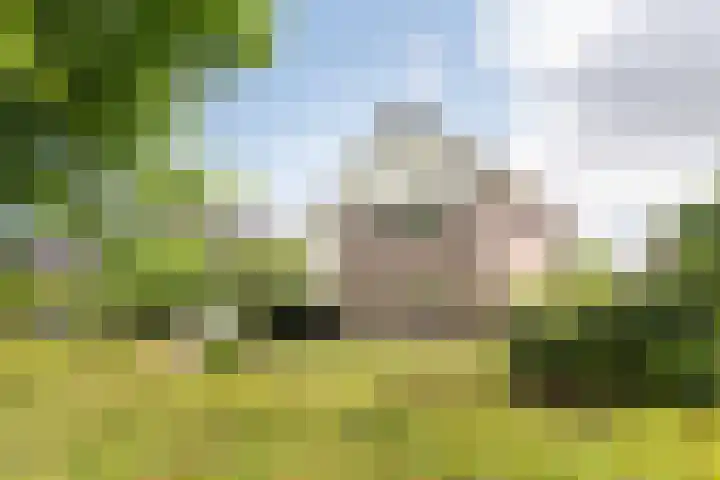 De Pream 13 Hallum thumbnail 37