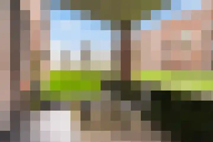 De Pream 13 Hallum thumbnail 44