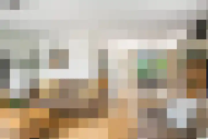 De Pream 13 Hallum thumbnail 5