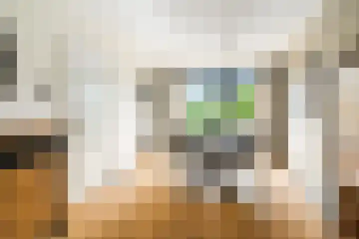 De Pream 13 Hallum thumbnail 6