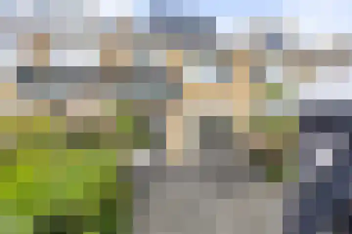 De Pream 13 Hallum thumbnail 8