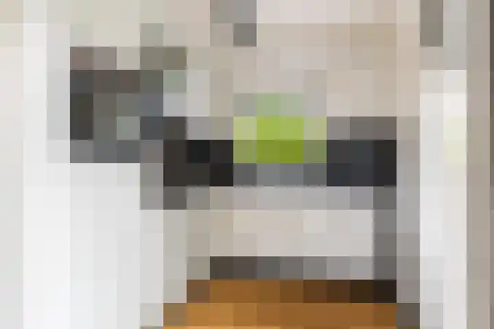 De Pream 13 Hallum thumbnail 8