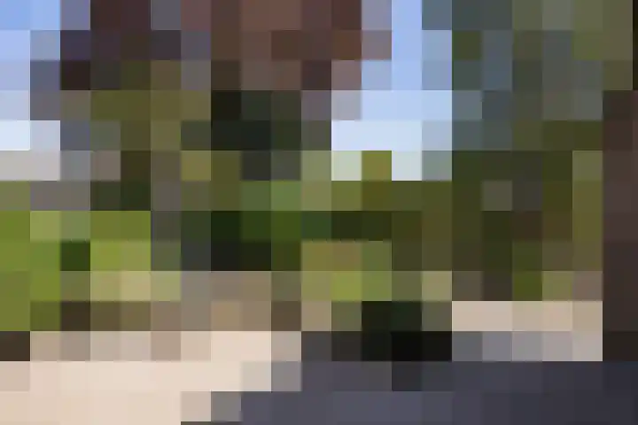 De Pream 2 Berltsum thumbnail 12