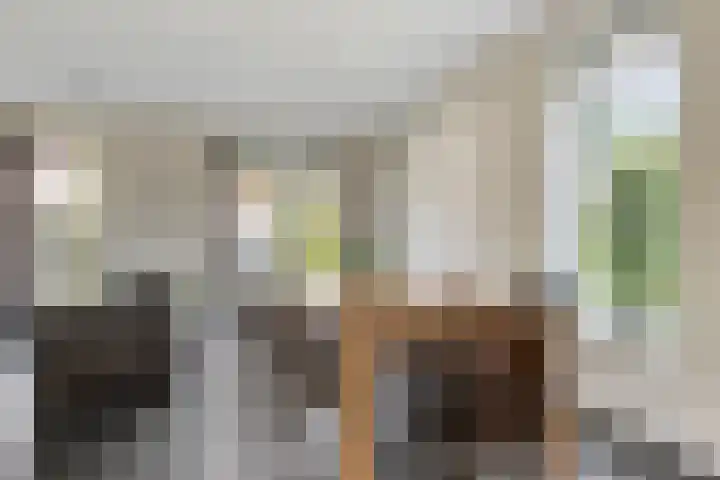 De Pream 2 Berltsum thumbnail 13